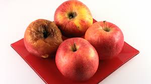 Image result for old foods